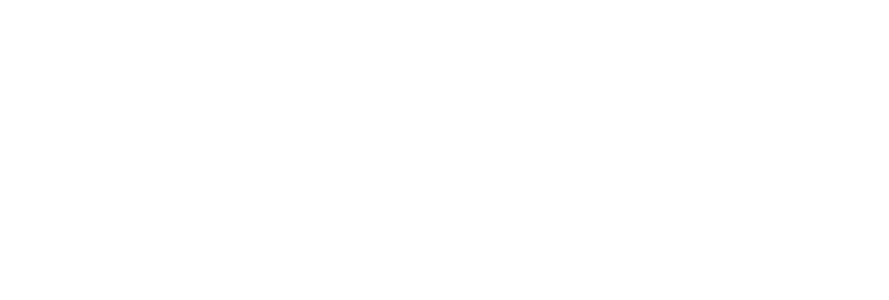 PPF_website_logo_white